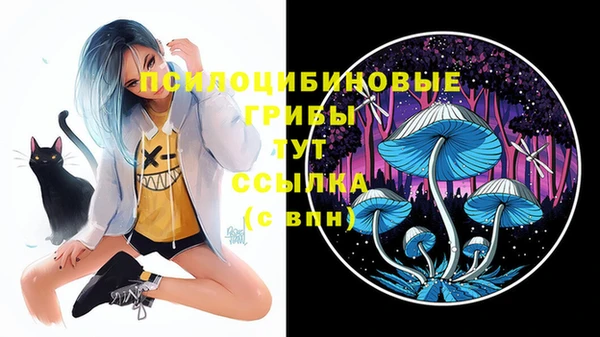 ешки Козловка