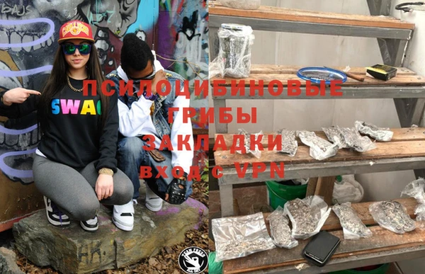 ALPHA-PVP Вяземский