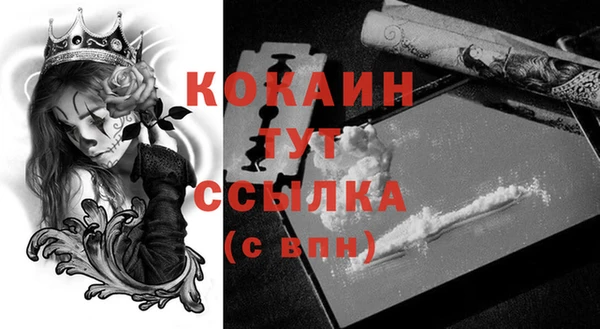 ешки Козловка