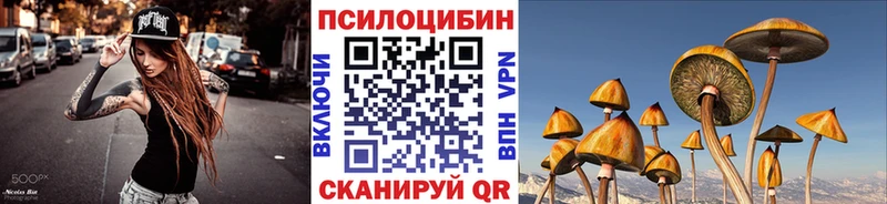 Псилоцибиновые грибы Cubensis  Оса 